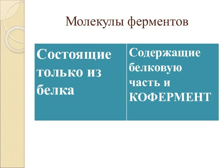 Молекулы ферментов