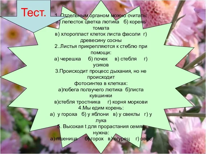 1. Отдельным органом можно считать: а) лепесток цветка лютика б) корень томата в)