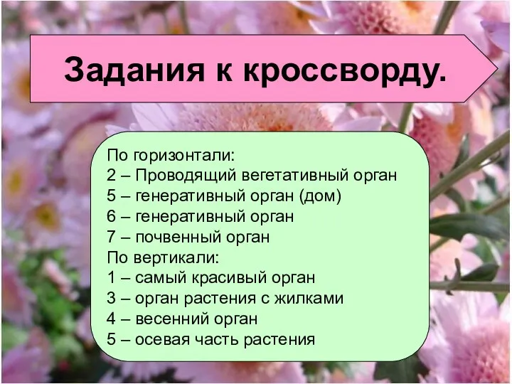 По горизонтали: 2 – Проводящий вегетативный орган 5 – генеративный орган (дом) 6