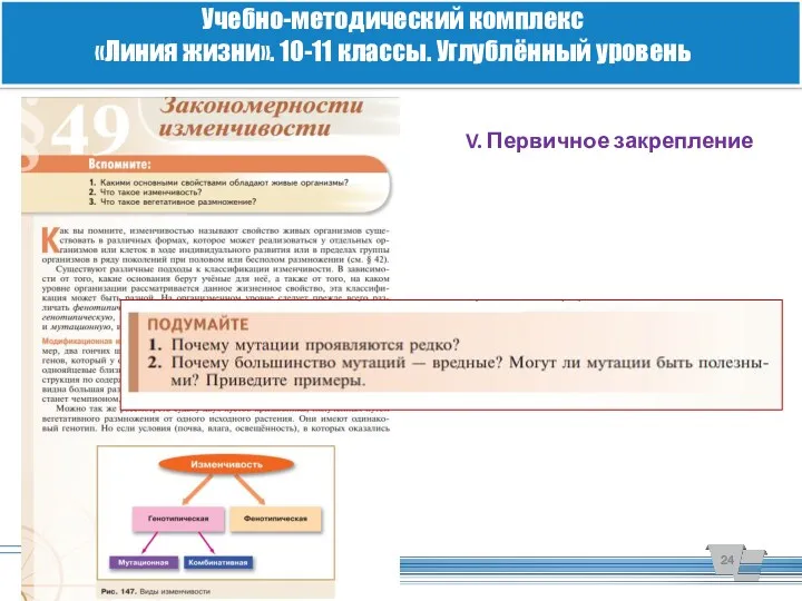 Учебно-методический комплекс «Линия жизни». 10-11 классы. Углублённый уровень V. Первичное закрепление