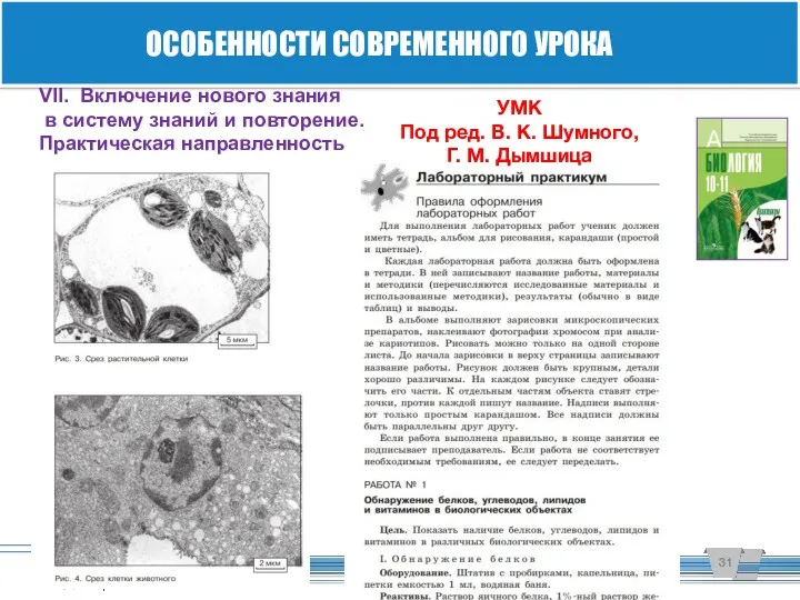 ОСОБЕННОСТИ СОВРЕМЕННОГО УРОКА VII. Включение нового знания в систему знаний и повторение. Практическая