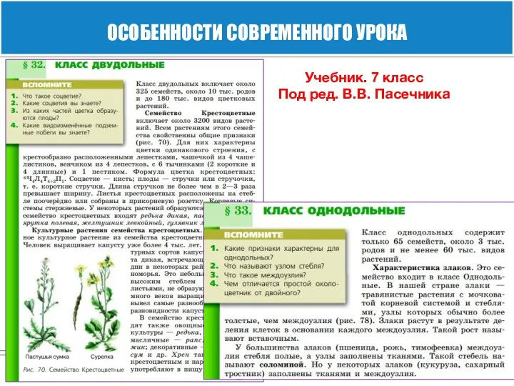 Учебник. 7 класс Под ред. В.В. Пасечника ОСОБЕННОСТИ СОВРЕМЕННОГО УРОКА