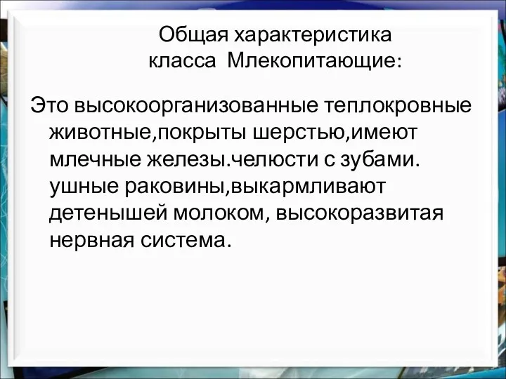 Общая характеристика класса Млекопитающие: Это высокоорганизованные теплокровные животные,покрыты шерстью,имеют млечные