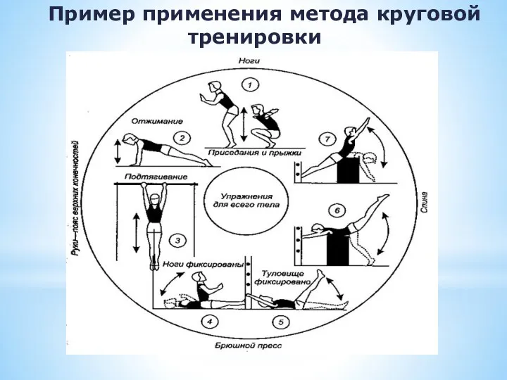 Пример применения метода круговой тренировки