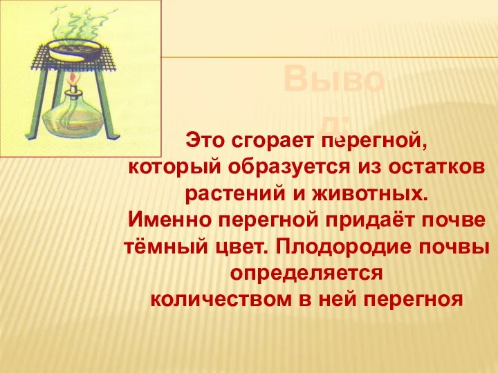 Это сгорает перегной, который образуется из остатков растений и животных.