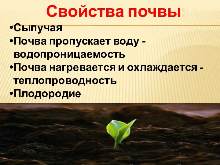 Свойства почвы: Сыпучая Почва пропускает воду - водопроницаемость Почва нагревается и охлаждается -теплопроводность Плодородие