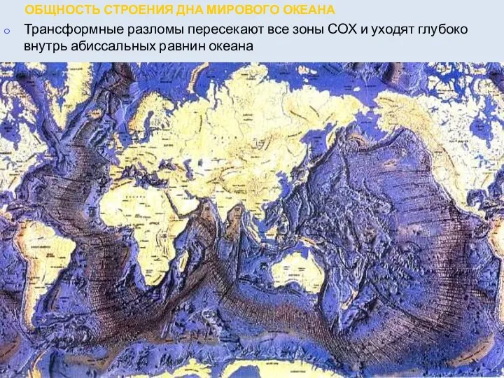 ОБЩНОСТЬ СТРОЕНИЯ ДНА МИРОВОГО ОКЕАНА Трансформные разломы пересекают все зоны