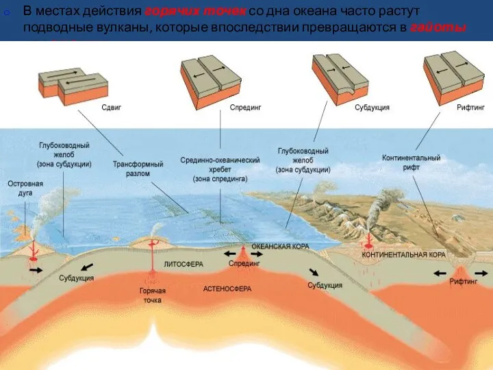 В местах действия горячих точек со дна океана часто растут