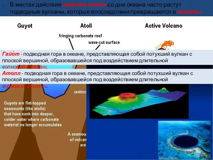 В местах действия горячих точек со дна океана часто растут