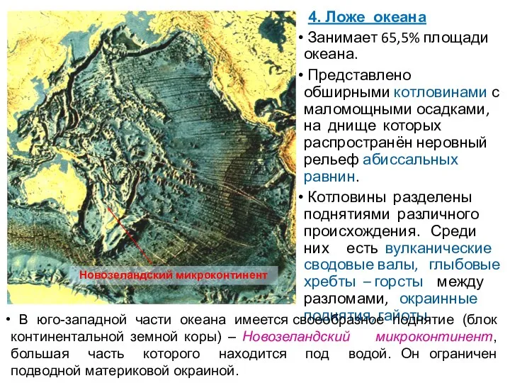 Занимает 65,5% площади океана. Представлено обширными котловинами с маломощными осадками,