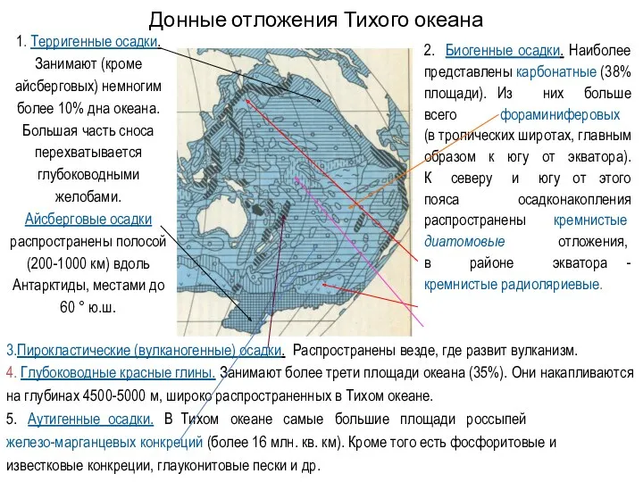 Донные отложения Тихого океана 1. Терригенные осадки. Занимают (кроме айсберговых)