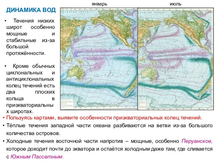 Пользуясь картами, выявите особенности приэкваториальных колец течений. Тёплые течения западной