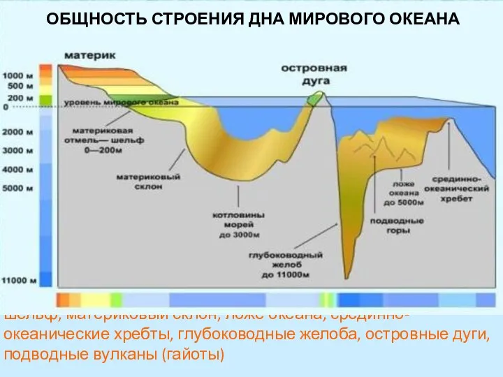 Все океаны имеют сходные элементы строения дна: шельф, материковый склон,