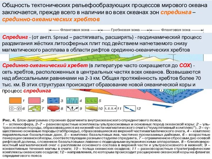 Общность тектонических рельефообразующих процессов мирового океана заключается, прежде всего в