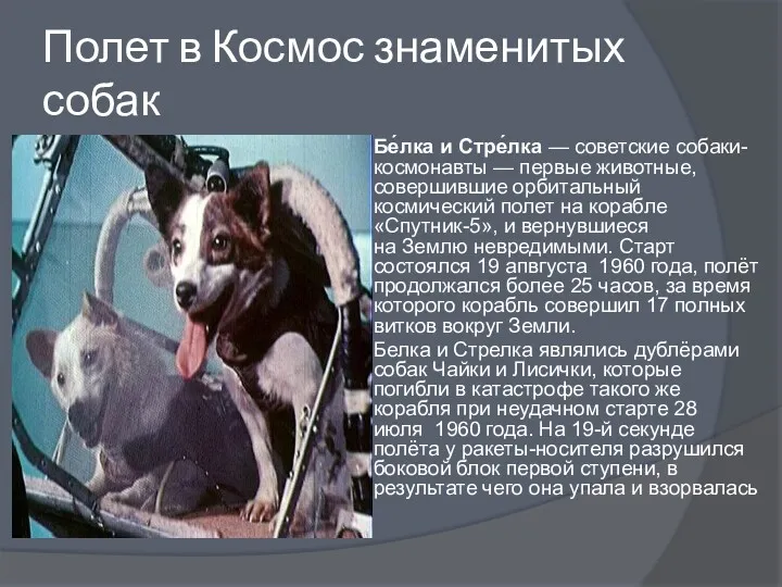 Полет в Космос знаменитых собак Бе́лка и Стре́лка — советские собаки-космонавты — первые