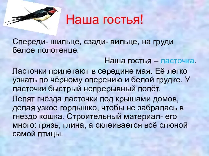 Наша гостья! Спереди- шильце, сзади- вильце, на груди белое полотенце.