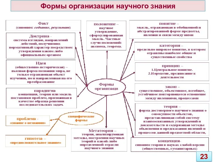 Формы организации научного знания