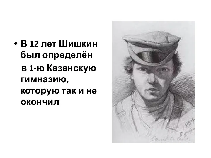 В 12 лет Шишкин был определён в 1-ю Казанскую гимназию, которую так и не окончил