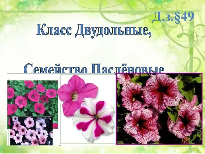 Класс Двудольные, Семейство Паслёновые Д.з.§49