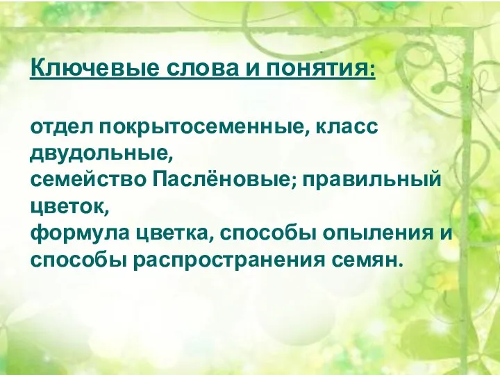 Ключевые слова и понятия: отдел покрытосеменные, класс двудольные, семейство Паслёновые;