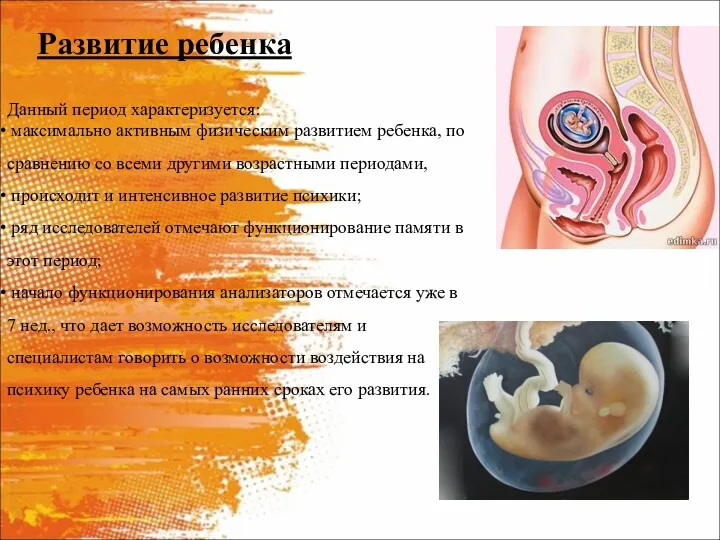 Развитие ребенка Данный период характеризуется: максимально активным физическим развитием ребенка,