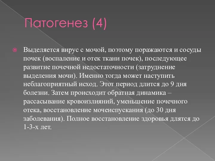 Патогенез (4) Выделяется вирус с мочой, поэтому поражаются и сосуды