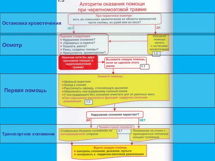 Остановка кровотечения Осмотр Транспортное положение Первая помощь