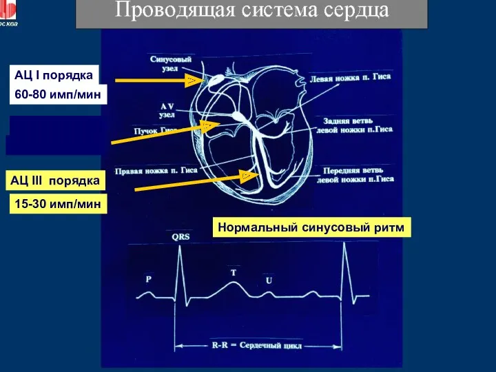 АЦ I порядка АЦ II порядка АЦ III порядка 15-30