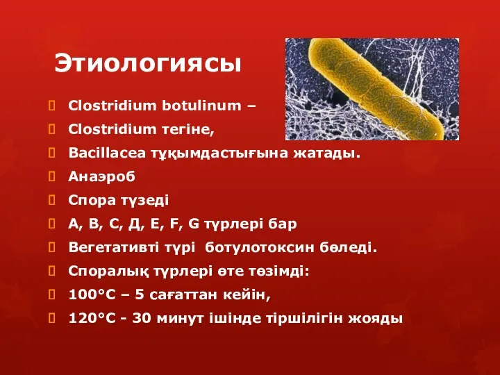 Этиологиясы Clostridium botulinum – Clostridium тегіне, Bacillacea тұқымдастығына жатады. Анаэроб Спора түзеді А,