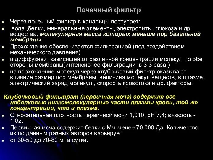 Почечный фильтр Через почечный фильтр в канальцы поступает: вода ,белки,