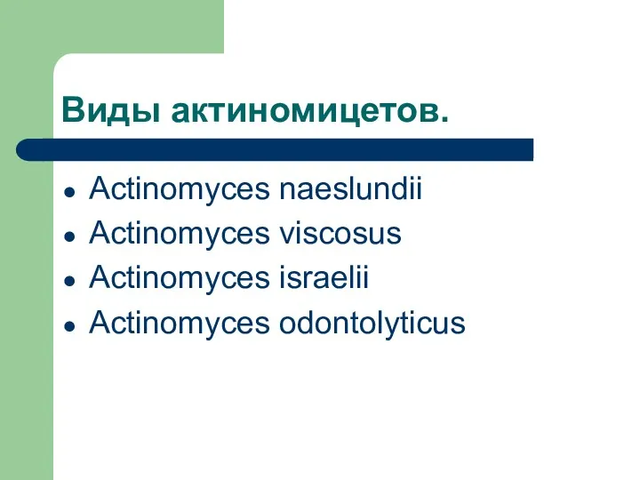 Виды актиномицетов. Асtinomyces naeslundii Асtinomyces viscosus Асtinomyces israelii Асtinomyces odontolyticus