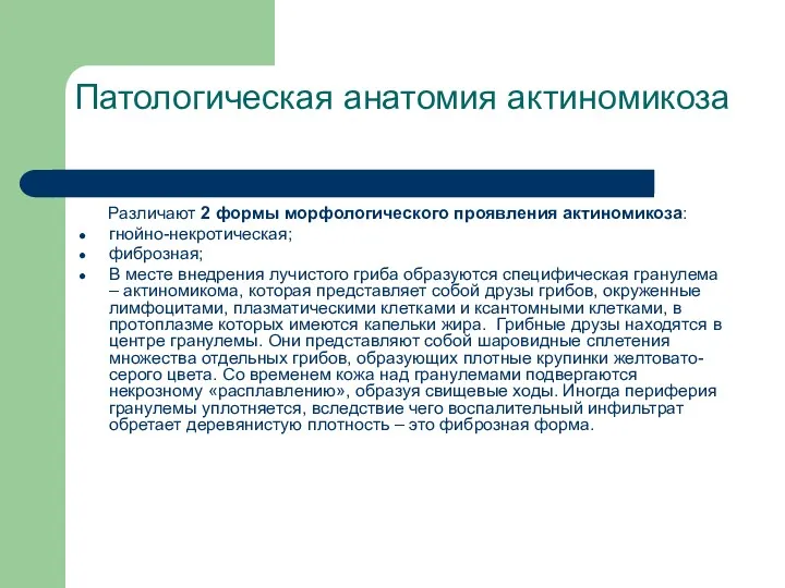 Патологическая анатомия актиномикоза Различают 2 формы морфологического проявления актиномикоза: гнойно-некротическая;