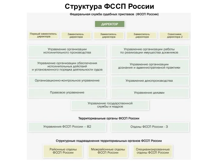 Структура ФССП России