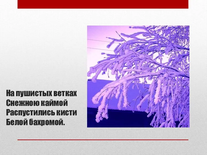 На пушистых ветках Снежною каймой Распустились кисти Белой бахромой.