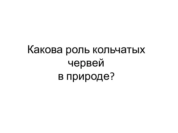 Какова роль кольчатых червей в природе?