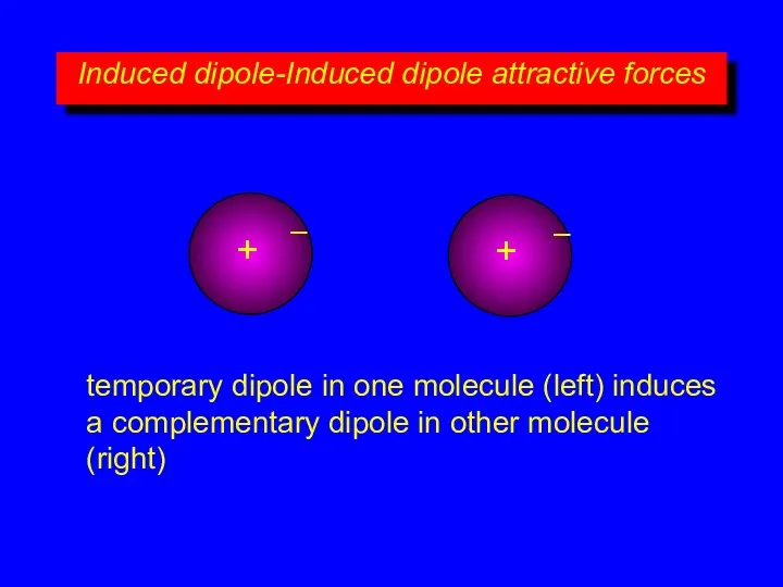 Induced dipole-Induced dipole attractive forces + – + – temporary