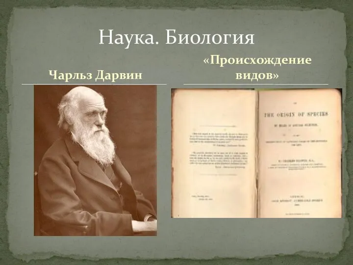 Чарльз Дарвин Наука. Биология «Происхождение видов»