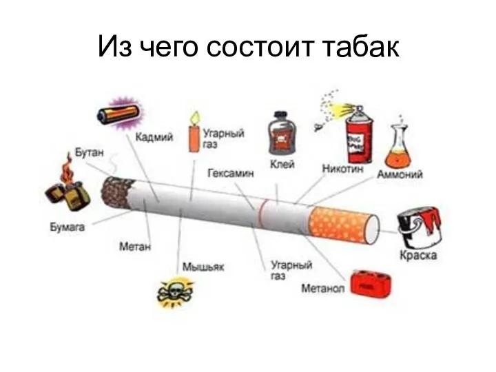 Из чего состоит табак