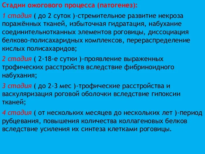 Стадии ожогового процесса (патогенез): 1 стадия ( до 2 суток