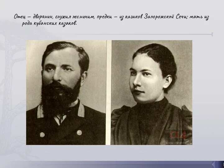 Отец — дворянин, служил лесничим, предки — из казаков Запорожской Сечи; мать из рода кубанских казаков.