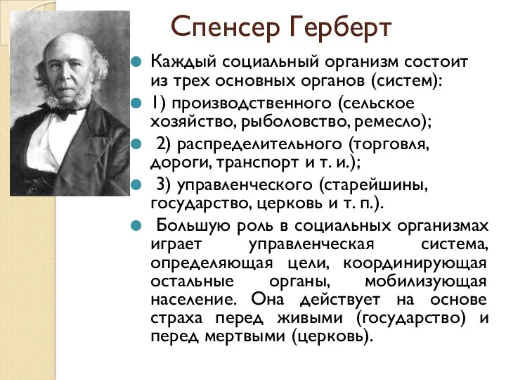 Спенсер Герберт Каждый социальный организм состоит из трех основных органов