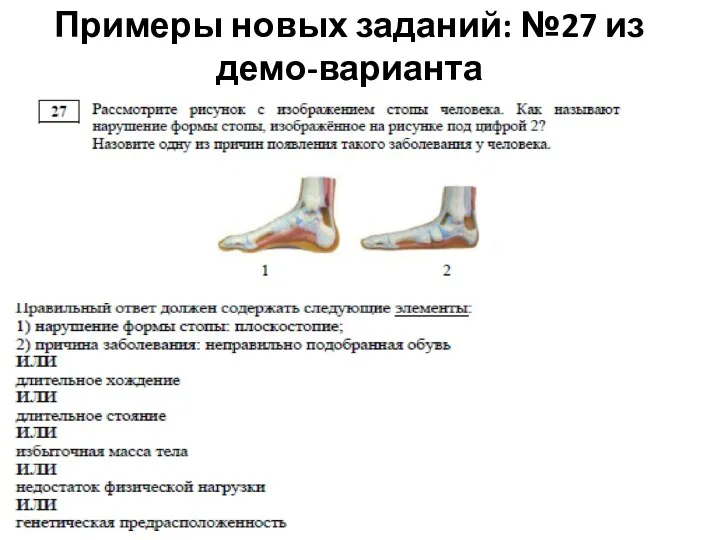 Примеры новых заданий: №27 из демо-варианта