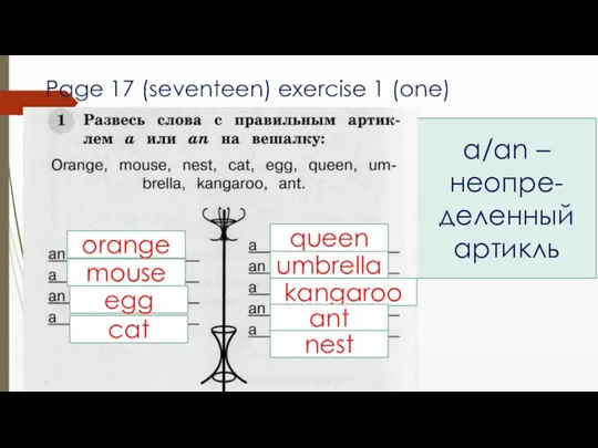 Page 17 (seventeen) exercise 1 (one) a/an – неопре-деленный артикль