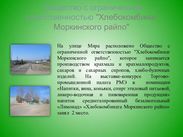 Общество с ограниченной ответственностью "Хлебокомбинат Моркинского райпо" На улице Мира