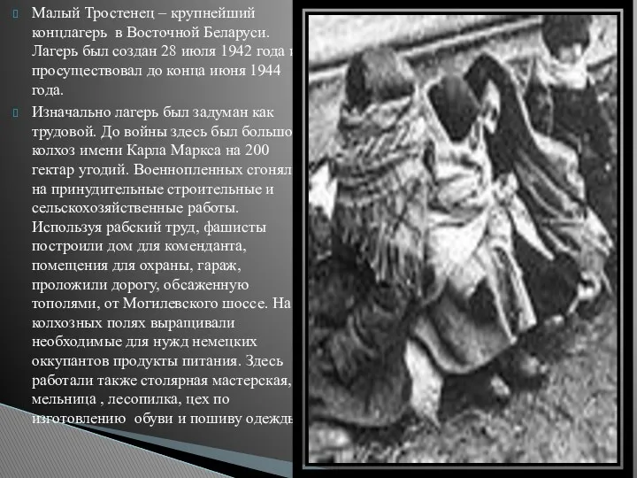 Малый Тростенец – крупнейший концлагерь в Восточной Беларуси. Лагерь был