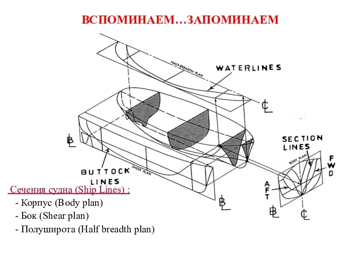 Сечения судна (Ship Lines) : - Корпус (Body plan) -