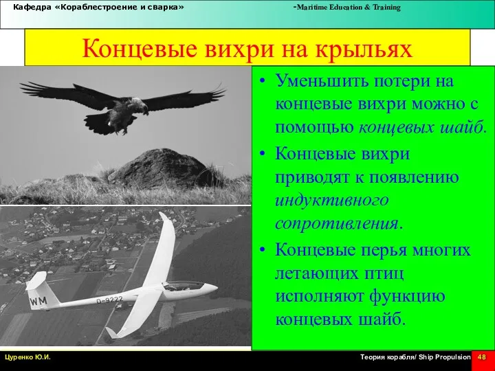 Концевые вихри на крыльях Уменьшить потери на концевые вихри можно