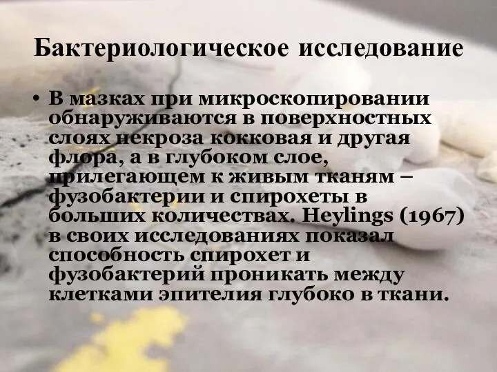 Бактериологическое исследование В мазках при микроскопировании обнаруживаются в поверхностных слоях