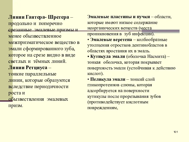 Линии Гантера- Шрегера – продольно и поперечно срезанные эмалевые призмы