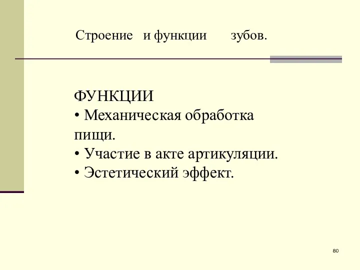 Строение и функции зубов. ФУНКЦИИ • Механическая обработка пищи. •